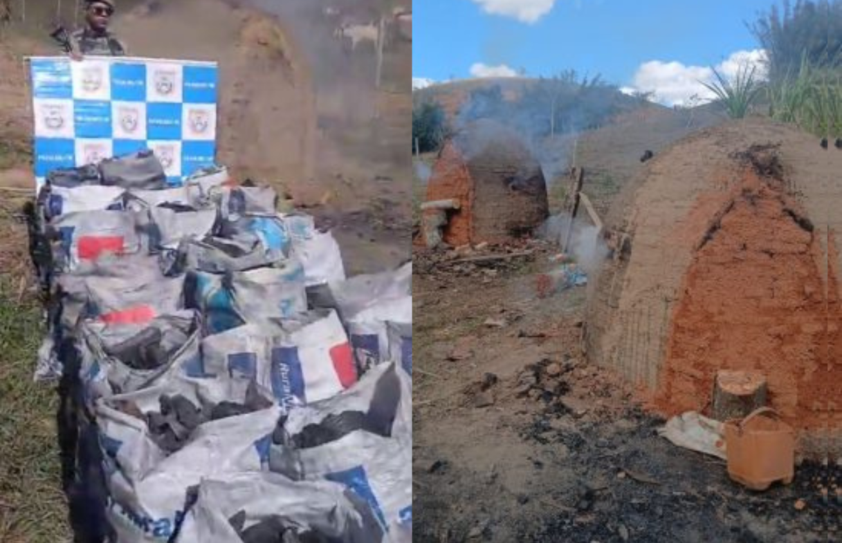 Carvoaria clandestina é desmantelada e oito toneladas de carvão são apreendidas em Campos